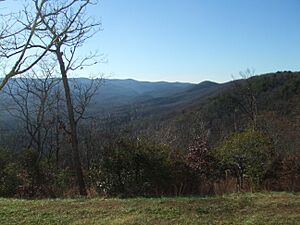Amicalola Falls State Park view