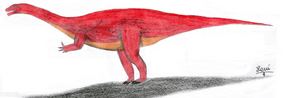 Ammosaurus2
