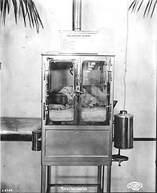 Baby incubator, A-Y-P, Seattle, 1909.