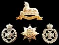 Badges of the Royal Lincolnshire Regiment & related units