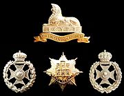 Badges of the Royal Lincolnshire Regiment & related units.jpg