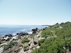 Baileyislandcoast