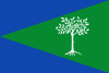 The flag of Aliseda