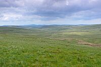 Blaen Hirddu-Fawr - geograph.org.uk - 4019759.jpg