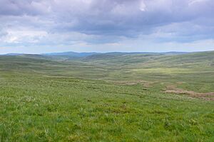 Blaen Hirddu-Fawr - geograph.org.uk - 4019759