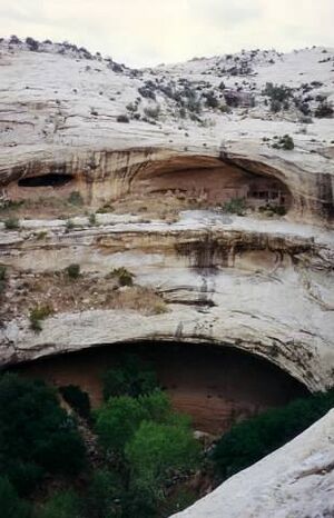 Butler Wash Ruins, standing above Butler Wash, near Blanding, Utah