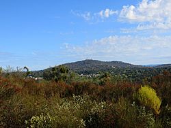Panoramic view of Cameron Park