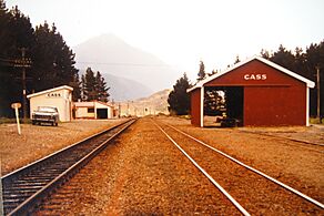 Cass Station Goldneys 1984