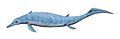 Chaohusaurus BW
