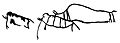 Columbian mammoth petroglyphs