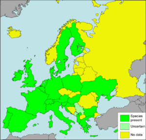 Cornu aspersum Presence in European countries