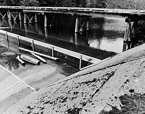 Cushman Dam No. 1