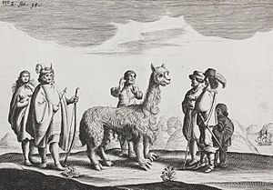 Detalle Expedición de Hendrick Brouwer en Valdivia 1643