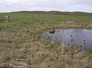 Dewpond and earthworks on Ladle Hill - geograph.org.uk - 361813