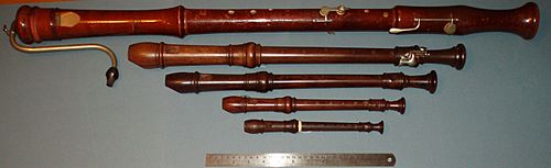 Different Sizes of Recorders (horizontal)