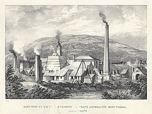 East view of the Yniscedwyn crane anthracite iron works, near Swansea