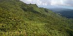 Forested mountainsides in El Yunque.