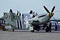 Fairey Firefly AS5, UK - Navy AN1966871