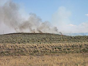 Fire near Hammett Idaho 2005