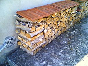 FirewoodFrancheComte