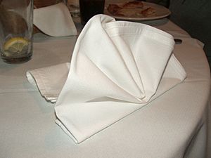 Folded napkin 01