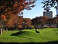 Fort Washington (Cambridge, MA)