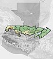 Franja transversal guate relief