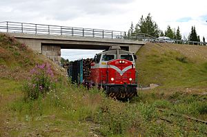 Freight train in Salla