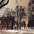 Gasson in Winter