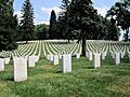 Headstones at Culpeper National Cemetery