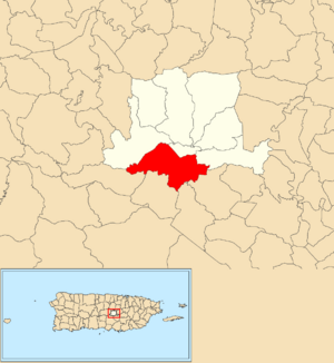 Location of Helechal within the municipality of Barranquitas shown in red