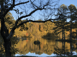 Herb Parsons Lake in Autumn.png