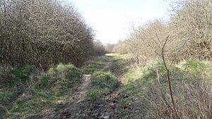Hutchinson's Bank 6