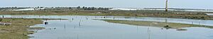 Isla Cristina Marismas-caño del Puntal