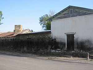 Jesus Trevino Rancho in San Ygnacio, TX IMG 3121