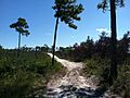 Johnathan Dickinson Trail 2