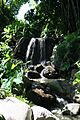 Jungle garden