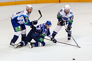 Karalahti, Pyörälä, Frögren 2012-09-26 Amur—Dinamo Minsk KHL-game