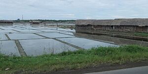 Ladang garam Jeneponto