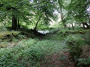 Laigh Borland, Sandy Ford Lane, Glazert Water, Dunlop, Ayrshire