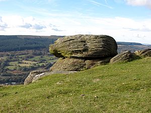 Large stones on Mynydd Cilfach-yr-encil (geograph 5163790)