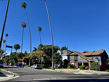 Los Angeles neighborhood photos 2023-13
