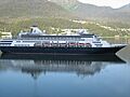 MS Veendam