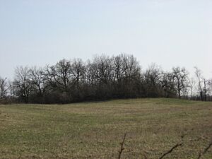 Mann Mound in Wayne Township