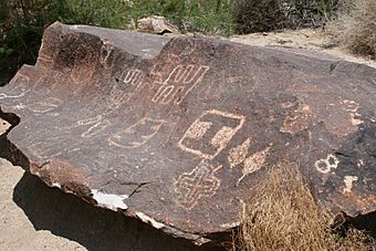 Many petroglyphs on a rock.JPG