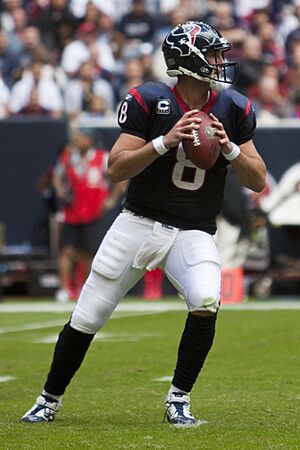Matt Schaub drops back