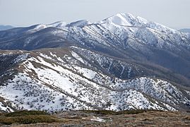 Mount Feathertop and Razorback