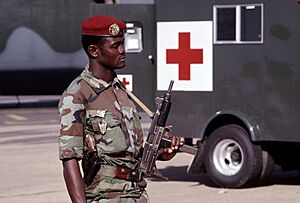 Niger soldier-89-07307