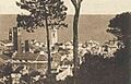 Noli-1941 (cropped)