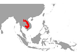Osphronemus exodon map.jpg